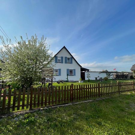 Pension Landhaus An Der Saale Бернбург Екстериор снимка