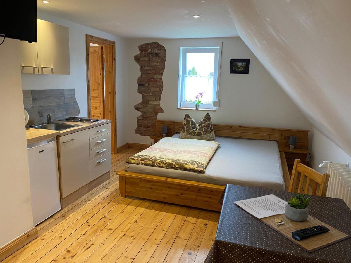 Pension Landhaus An Der Saale Бернбург Екстериор снимка
